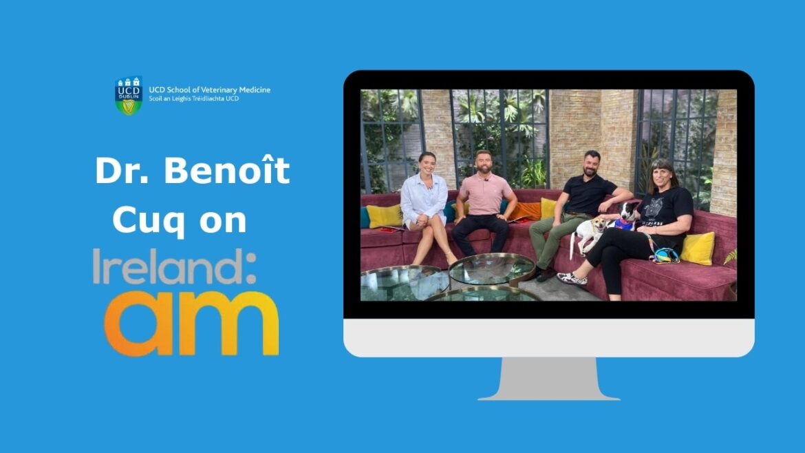 Ucd veterinary hospital blood donor clinic on ireland am