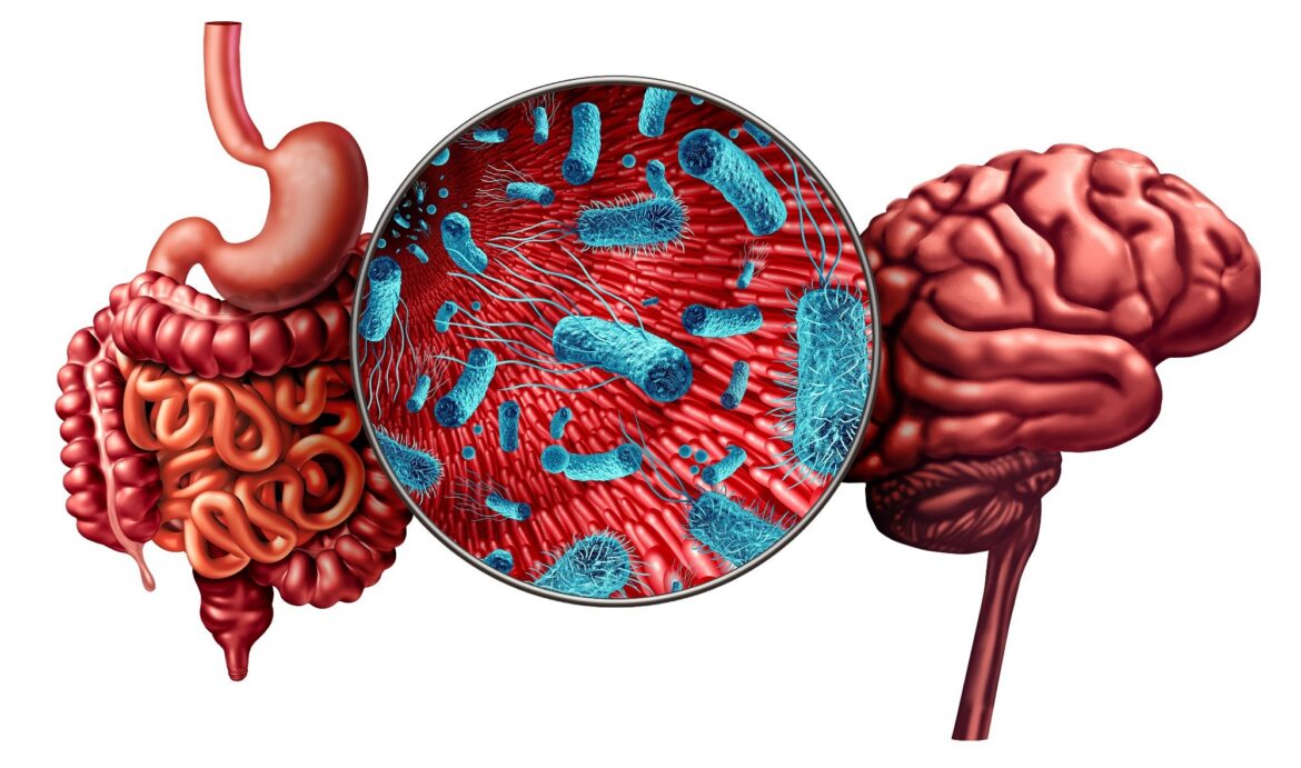 Probiotics for mental health A new review finds promising signals.jpg
