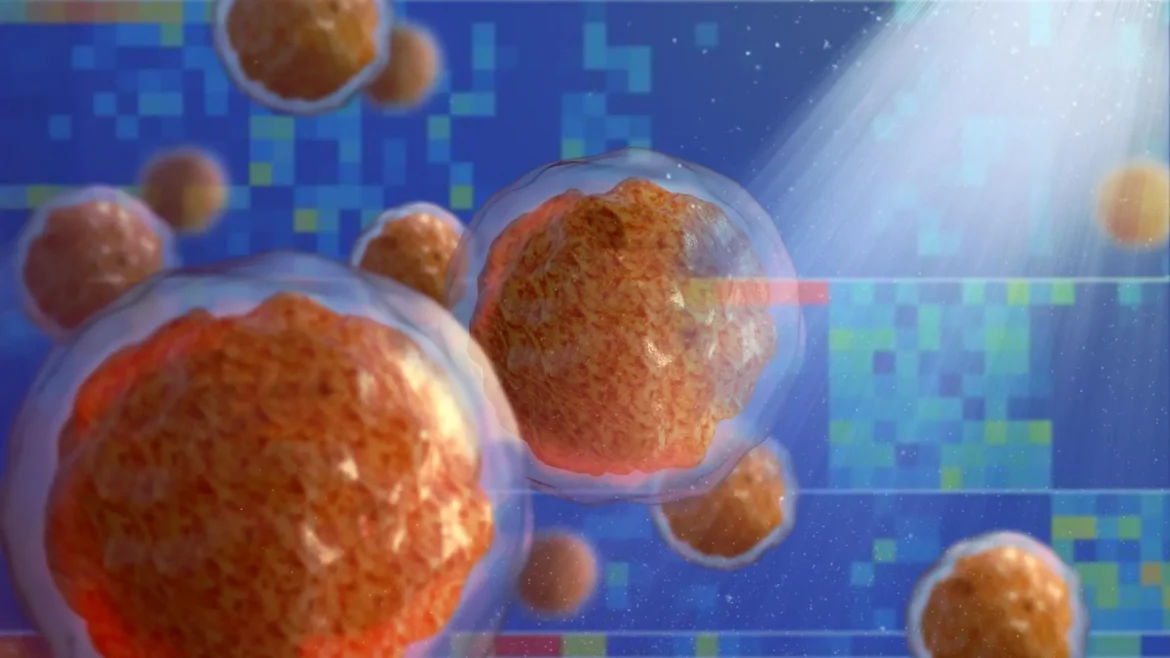 Inflammation turns bone marrow into a breeding ground for disease.webp.webp