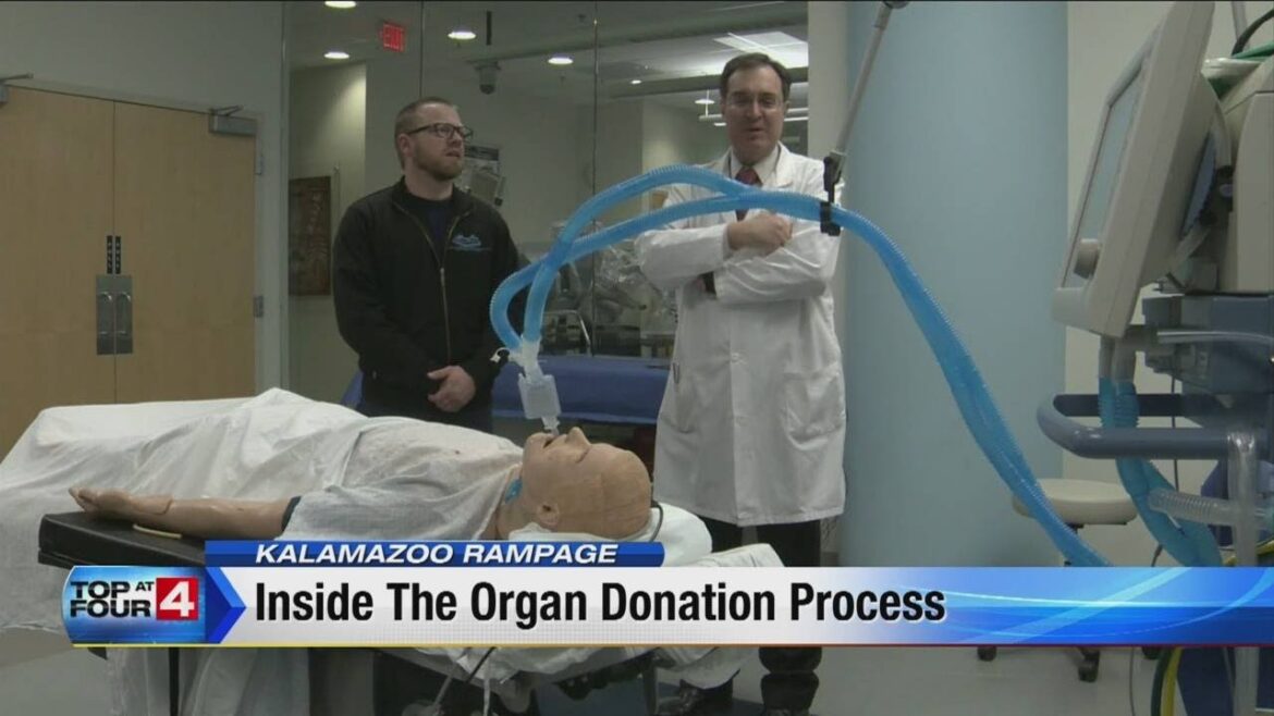 Organ donation process.jpg