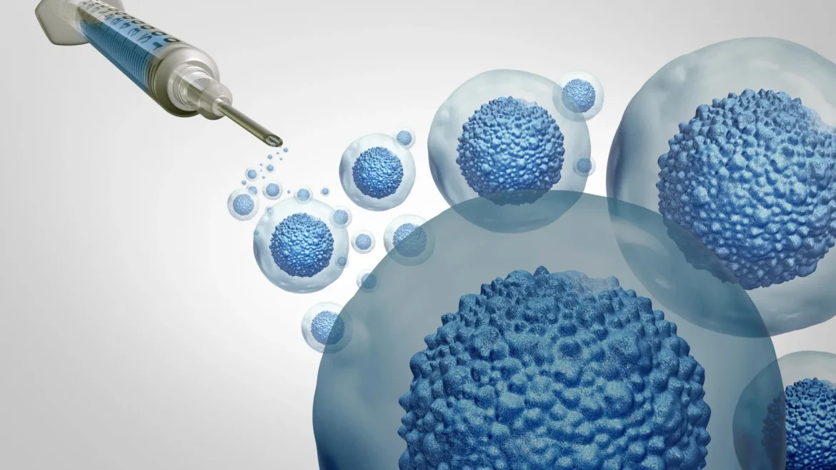 Stanford makes stem cell transplants safer without chemo.webp.webp