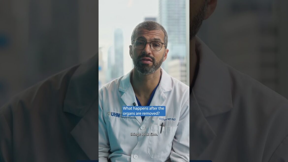 What happens with organ donation after death.jpg