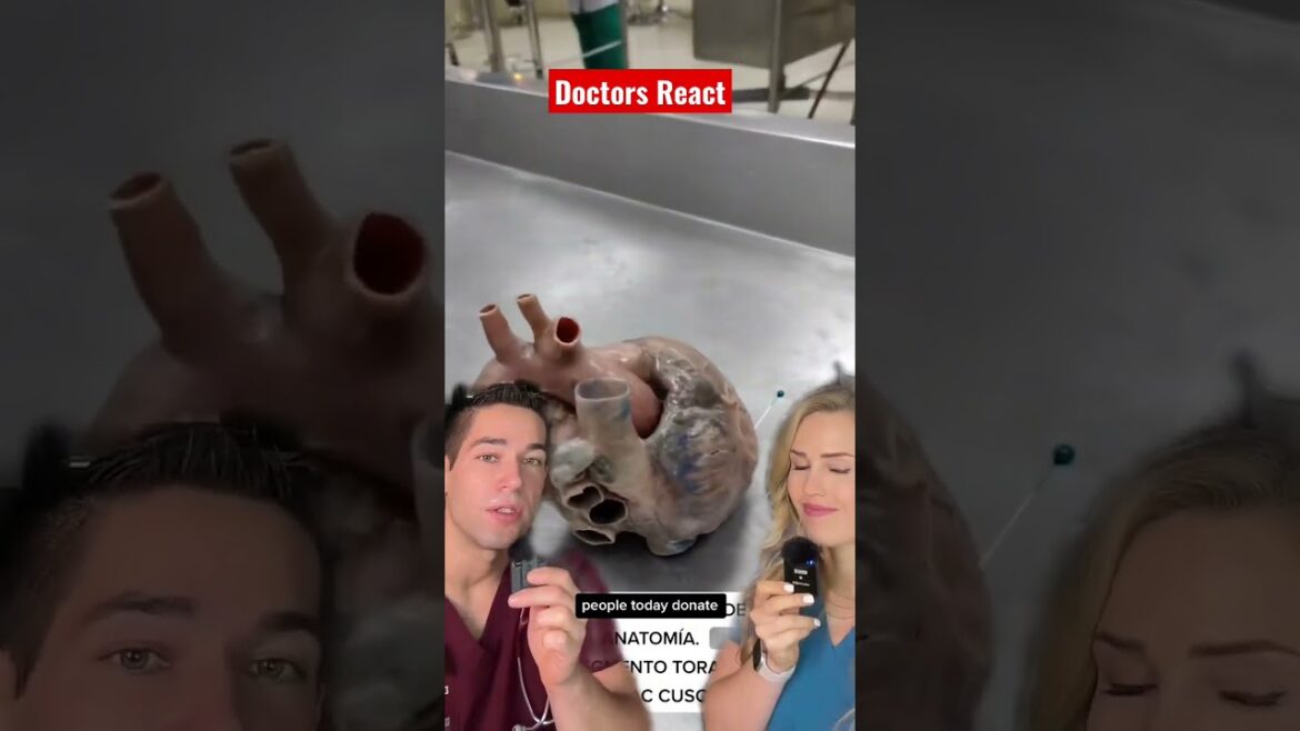 Would you donate your body for this? w/ @FootDocDana