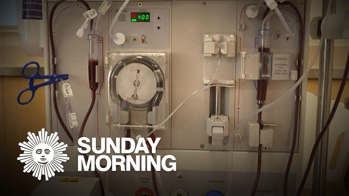 Kidney dialysis industry accused of maximizing profits over patients