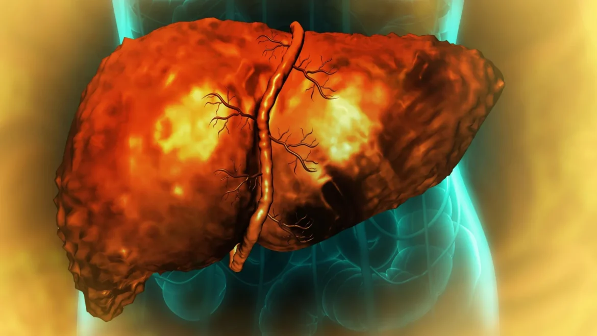 Scientists find why the liver may not heal even after.webp.webp