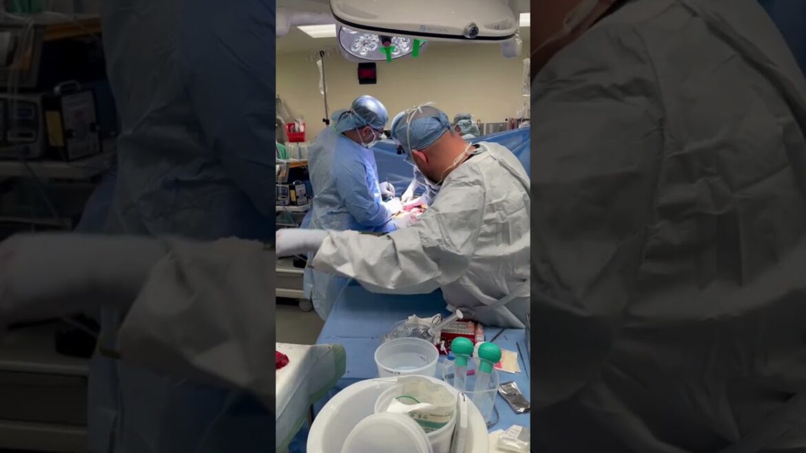 Altruistic kidney donor kicks off 5 way transplant chain | Ohio