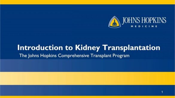 Introduction to Kidney Transplantation